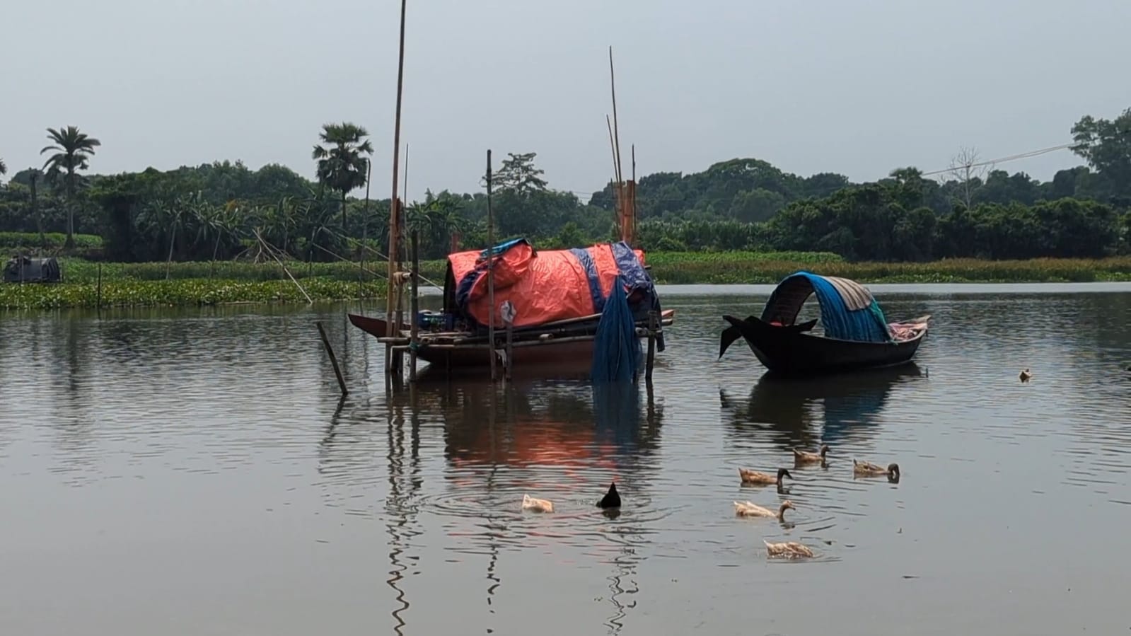 বাঁওড়ে গ্যাস ট্যাবলেট ও রাসায়নিকের ব্যবহার: দূষিত পানিতে বিপাকে নদীপারের মানুষ